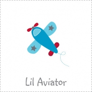 little aviator plane airplane boy birthday theme